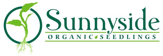 Sunnyside Organic Seedlings