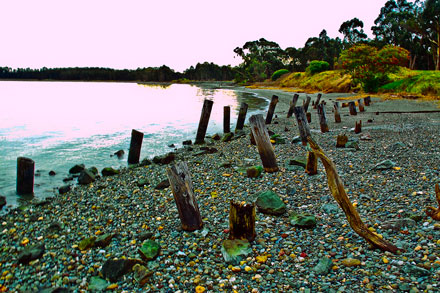 Digital Photo of Richmond Shorlines 